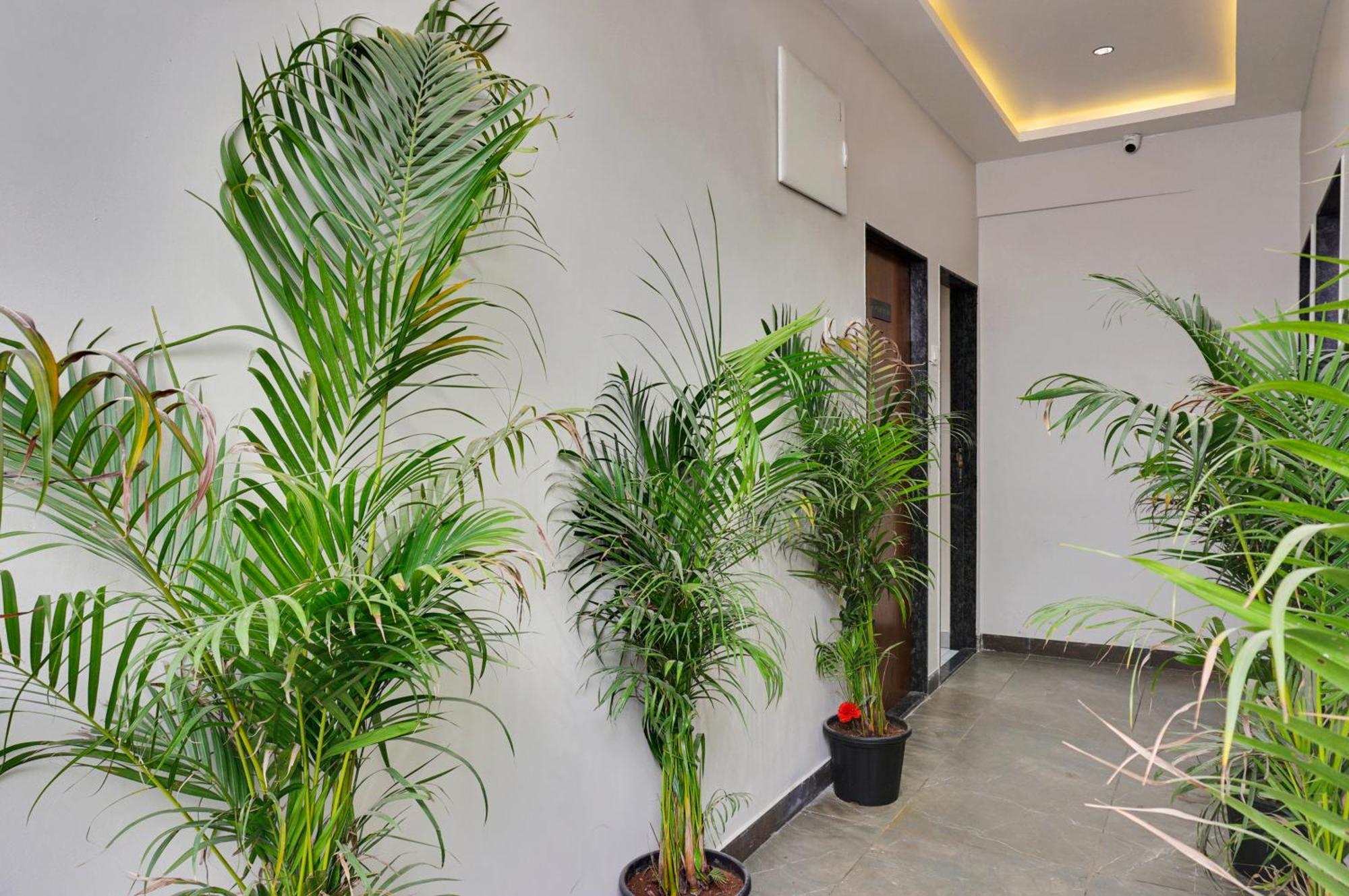 Hotel Sayba Executive بونة المظهر الخارجي الصورة